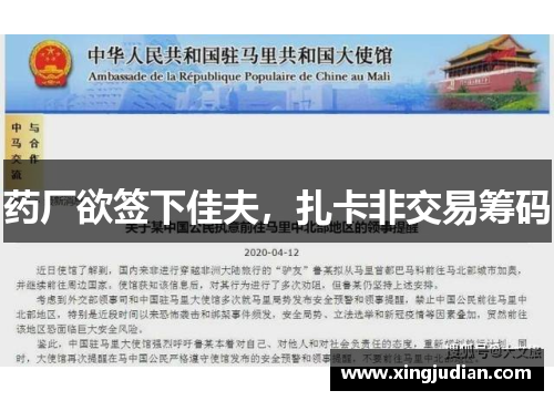 药厂欲签下佳夫，扎卡非交易筹码